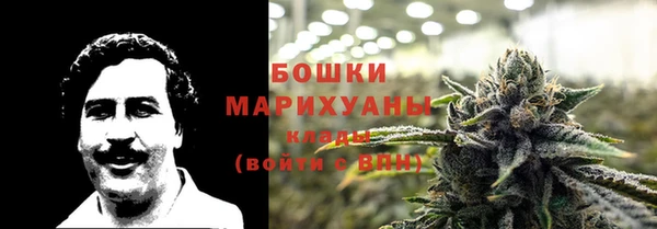 крисы Сатка