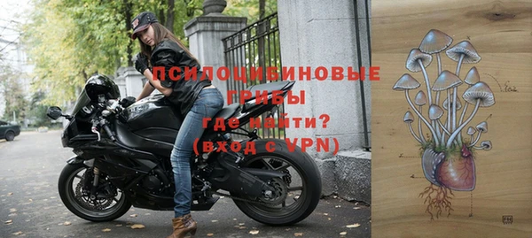 спайс Аркадак