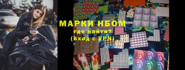 молекула духа Арсеньев