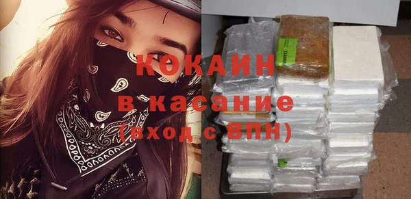 молекула духа Арсеньев