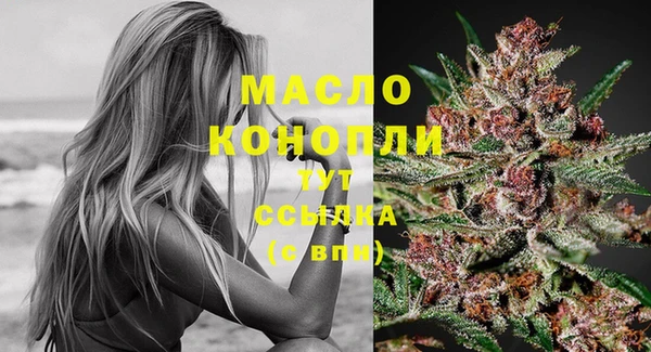 молекула духа Арсеньев