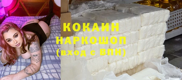 молекула духа Арсеньев